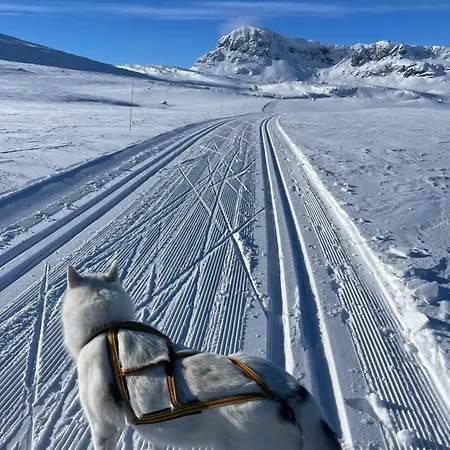 Lejlighed Steps From The Slopes With Stunning Views! *