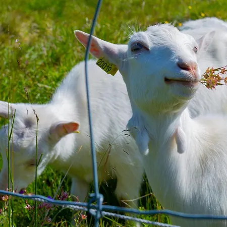 Steps From The Slopes With Stunning Views! *