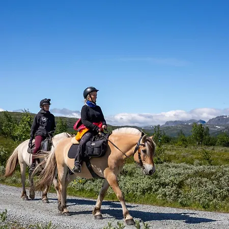 Steps From The Slopes With Stunning Views! Beitostolen